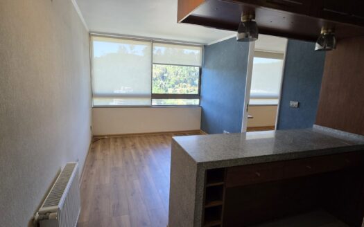 Se vende céntrico departamento en Concepción