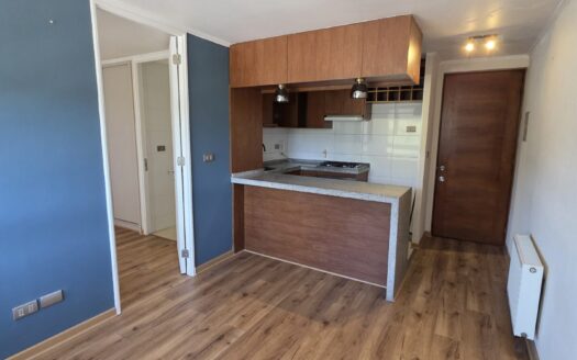 Se vende céntrico departamento en Concepción