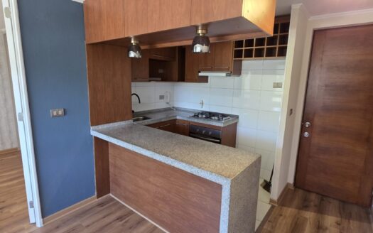 Se vende céntrico departamento en Concepción