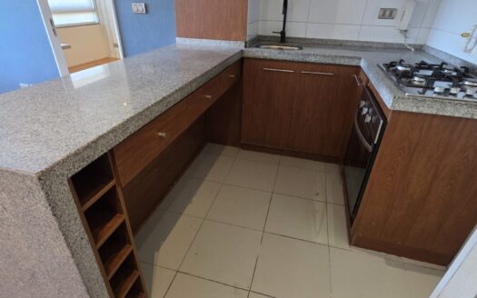 Se vende céntrico departamento en Concepción