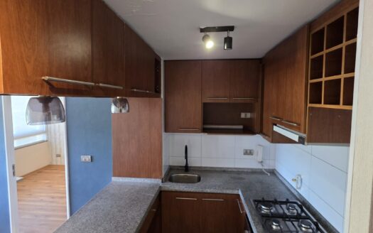 Se vende céntrico departamento en Concepción