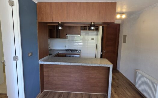 Se vende céntrico departamento en Concepción