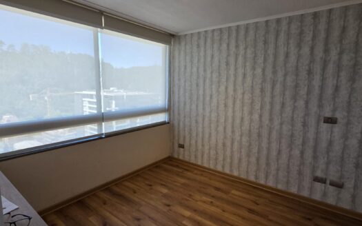 Se vende céntrico departamento en Concepción