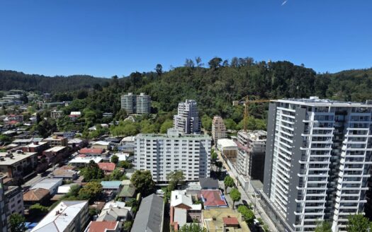 Se vende céntrico departamento en Concepción