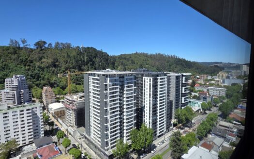 Se vende céntrico departamento en Concepción