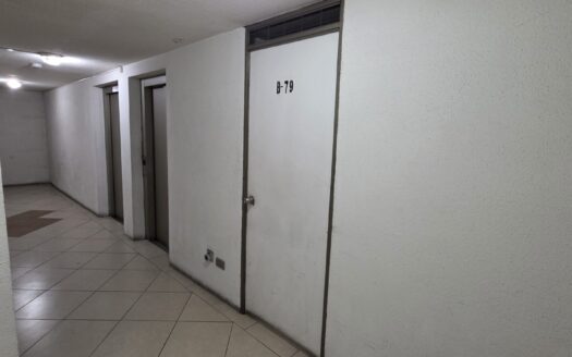 Se vende céntrico departamento en Concepción